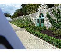 Walled Gardens -espalier fruit trees